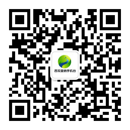 西双版纳手机台公众号二维码