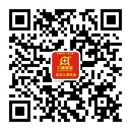 宜昌九鼎牧业有限公司公众号二维码