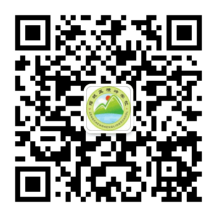 增城区横岭学校公众号二维码