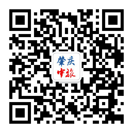 肇庆中旅公众号二维码