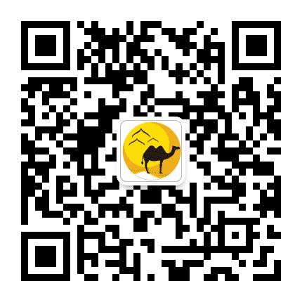 掌上新疆XJ公众号二维码