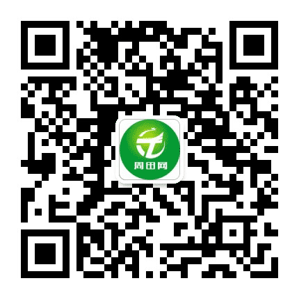 周田网公众号二维码