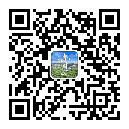 定西市安定区鲁家沟镇人民政府公众号二维码