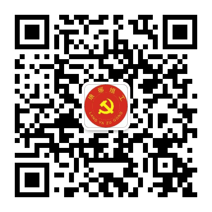 琅琊组工公众号二维码