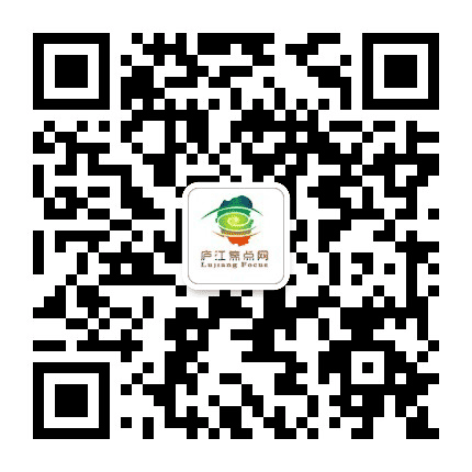 庐江焦点网公众号二维码
