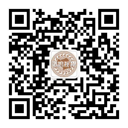 武鸣视界公众号二维码