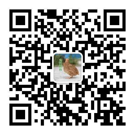 眉山佳业鹌鹑养殖公众号二维码