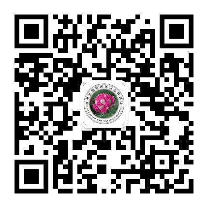 百里杜鹃安全生产公众号二维码