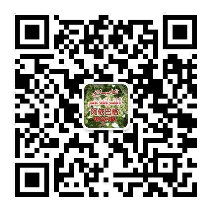 阿依巴格零距离公众号二维码