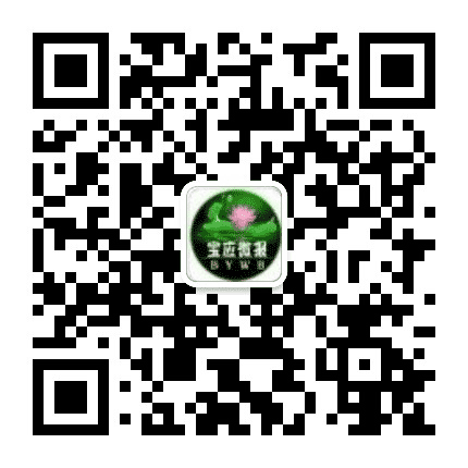 宝应微爆公众号二维码