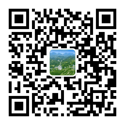 板场村委会公众号二维码