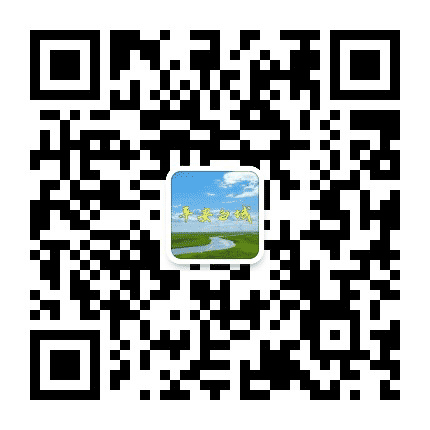 平安白城建设公众号二维码