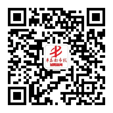 半岛都市报城阳新闻公众号二维码