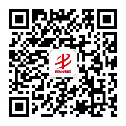 半岛都市报西海岸新闻公众号二维码