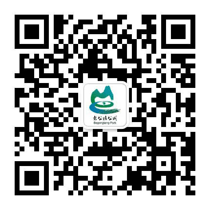 柳江区岜公塘公园公众号二维码
