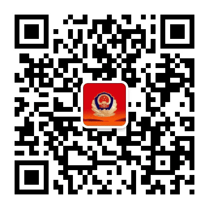 临盘公安公众号二维码