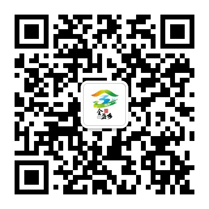 金盏在线公众号二维码
