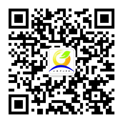 宁波市北仑区小港中心学校公众号二维码