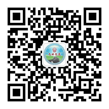 巴林右旗交通之声公众号二维码