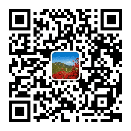 白岭镇人民政府公众号二维码