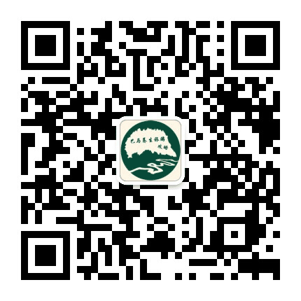 巴马养生旅游攻略公众号二维码