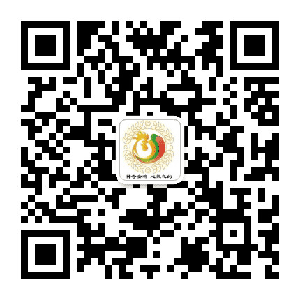 保山金鸡公众号二维码