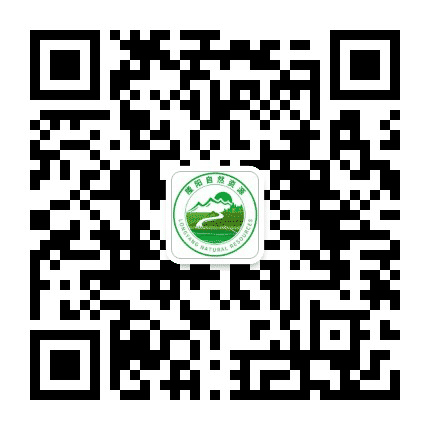 隆阳自然资源公众号二维码