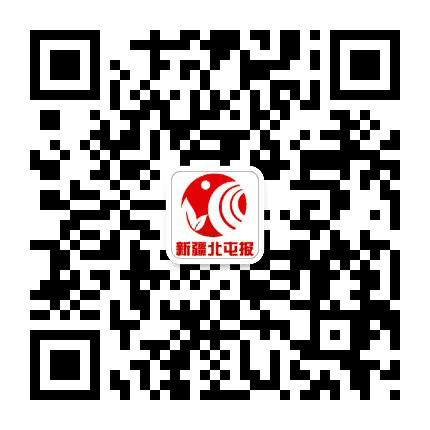 新疆北屯报金山周末公众号二维码