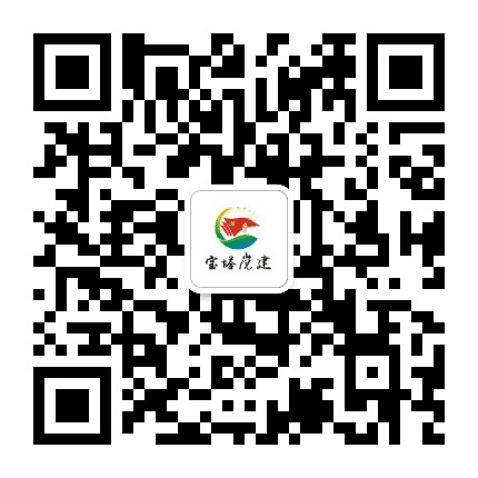 宝塔党建公众号二维码