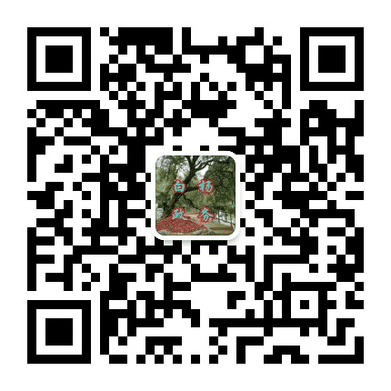 陇南康县白杨镇公众号二维码