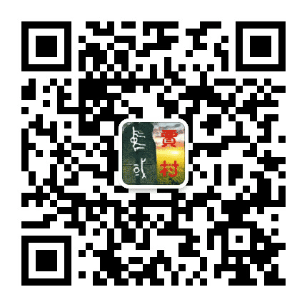 幸福龙川魅力贾村公众号二维码