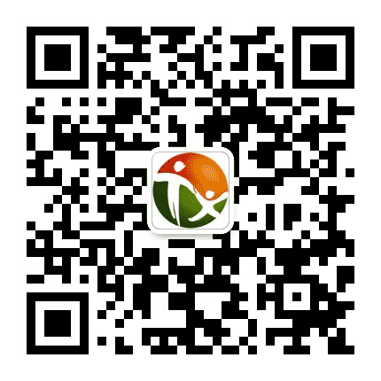 长春童鑫幼儿园公众号二维码