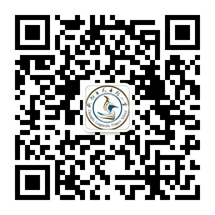 成都市龙舟路小学公众号二维码
