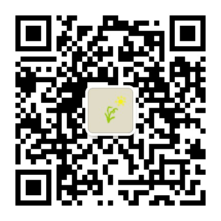 青芽儿公众号二维码