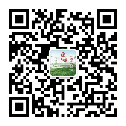 茶乡巨峰公众号二维码