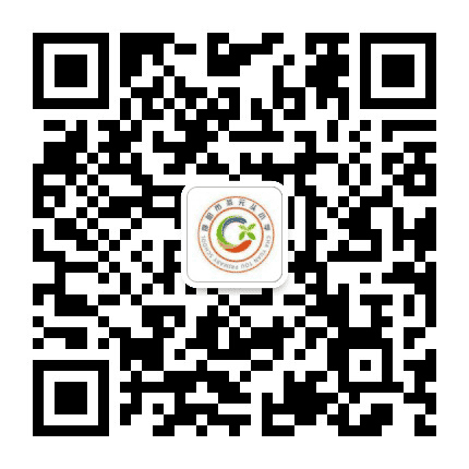 邵阳市北塔区茶元头小学公众号二维码