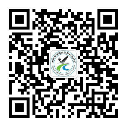草海湿地公众号二维码