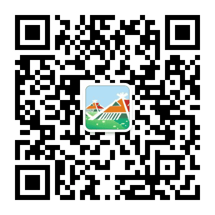 崇明微度假公众号二维码