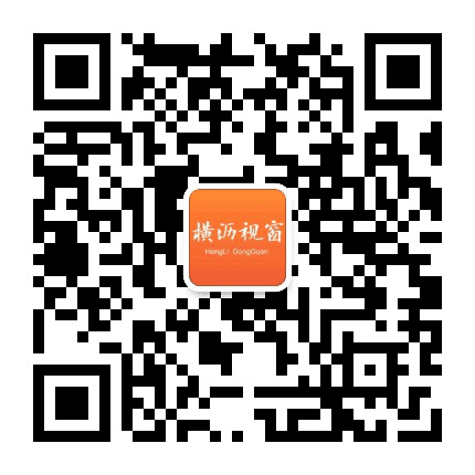 横沥视窗公众号二维码