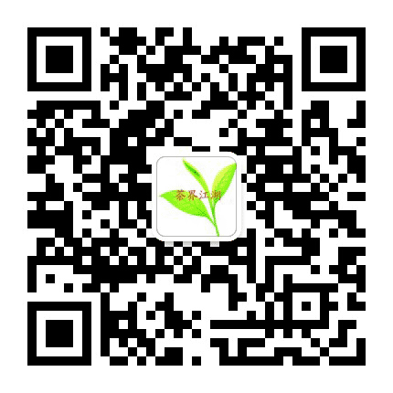 茶界江湖公众号二维码