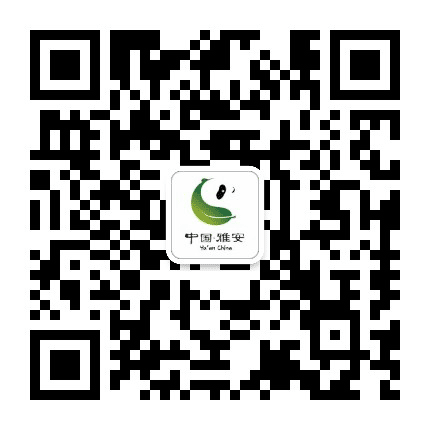 四川雅安公众号二维码