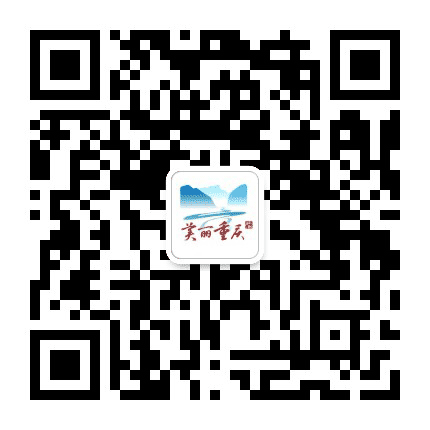 重庆生态环境公众号二维码