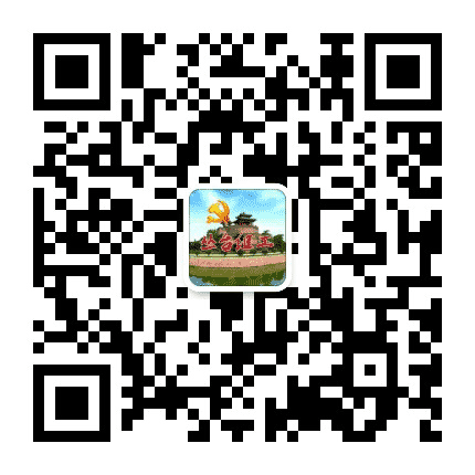 丛台先锋公众号二维码