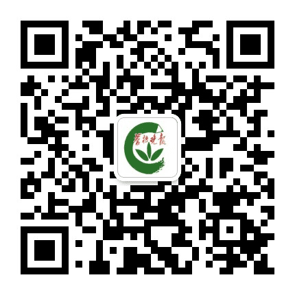 苍梧晚报小记者公众号二维码