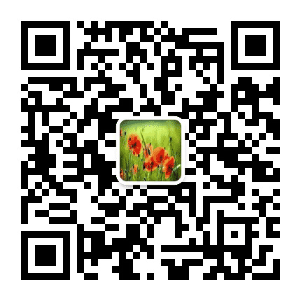 长兴岛石化市场指定平台公众号二维码