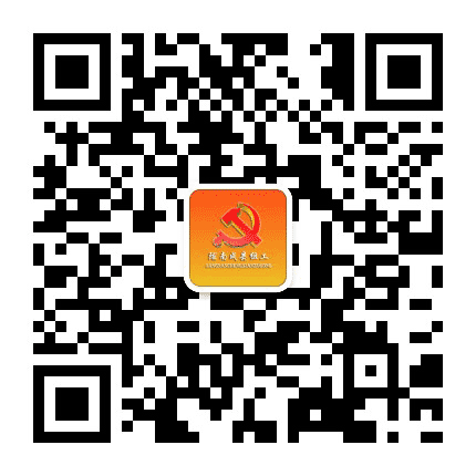 陇南成县组工公众号二维码