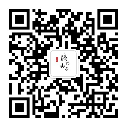 骆驼山子村公众号二维码