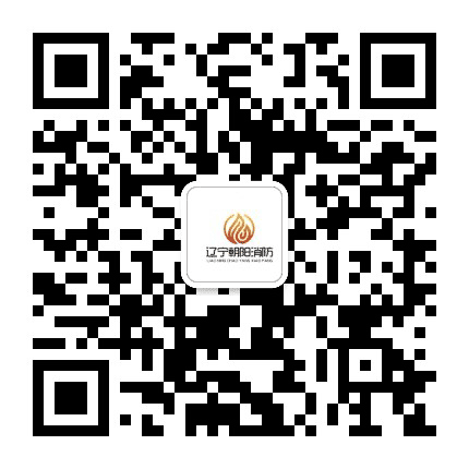 朝阳消防公众号二维码