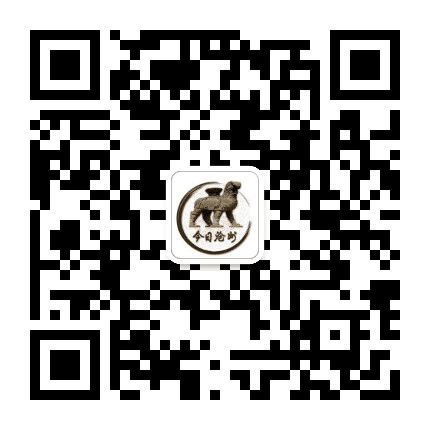 今日沧州公众号二维码