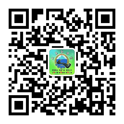 大美勤得利公众号二维码